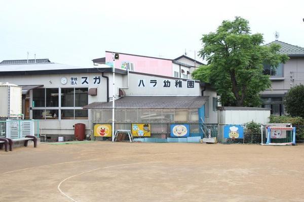 幼稚園、保育園