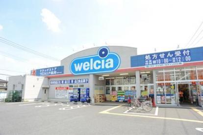 ドラックストア