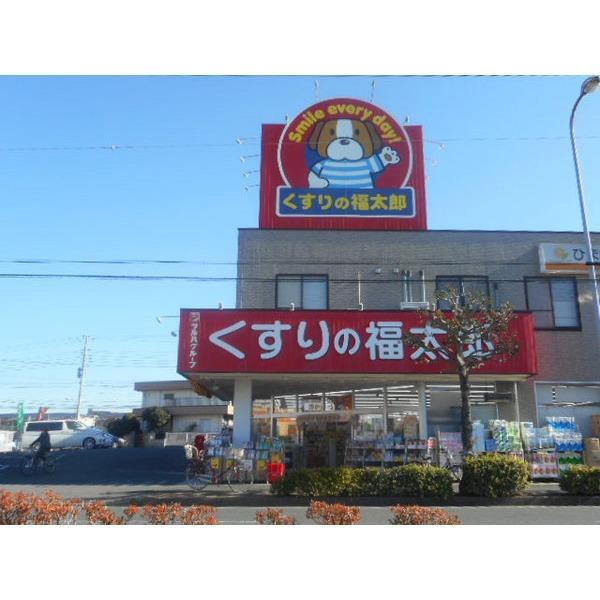 ドラックストア