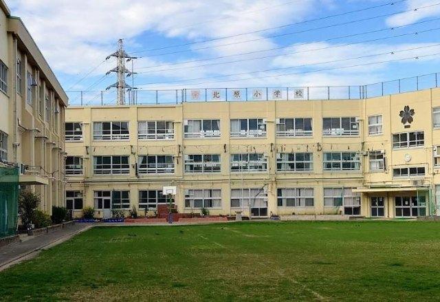 中野区立北原小学校：424m