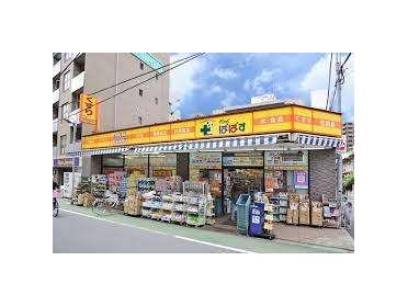 どらっぐぱぱす板橋清水町店：908m