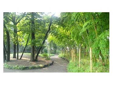 東板橋公園
