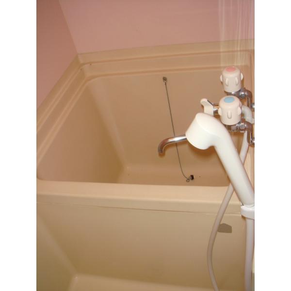 rinobirth6（102） 部屋画像