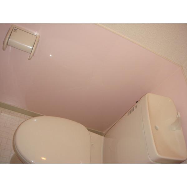 rinobirth6（102） 部屋画像