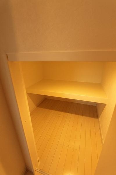 ラフィーナパレス宮崎（405） 収納