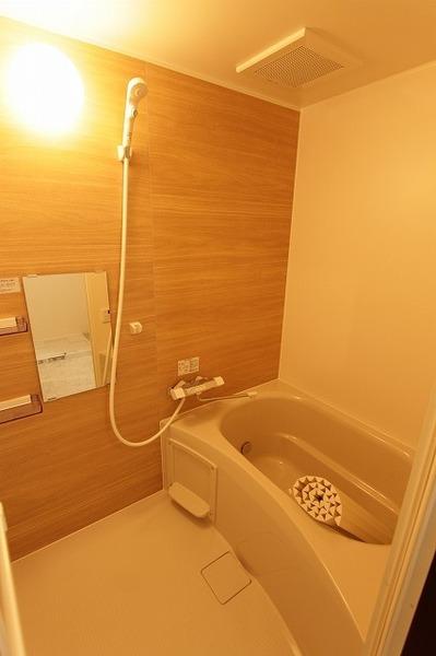 Maison de mauve（メゾンドゥモーブ）（105） 部屋画像