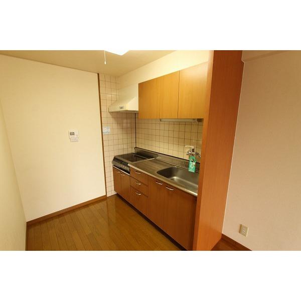エンブレーマ西池（402） 部屋画像
