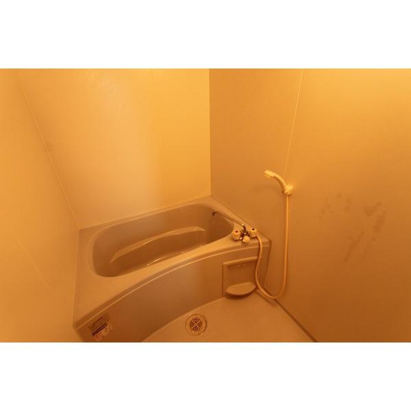 エンブレーマ西池（402） 部屋画像