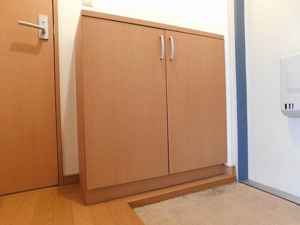 3UMK宮崎ビル（1003） 部屋画像