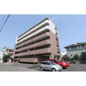 セフィーロ清水