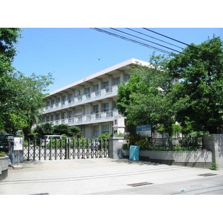 宮崎市立大淀小学校：368m