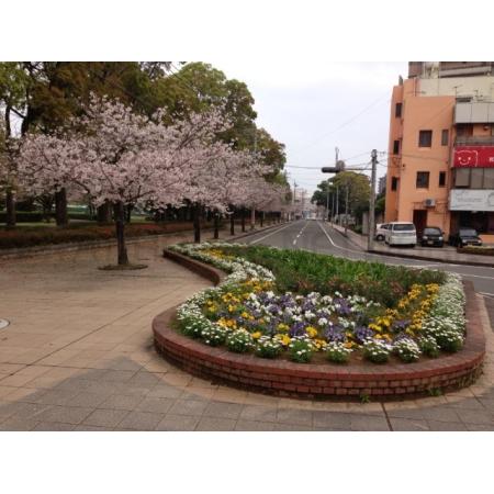 宮崎公立大学：2013m