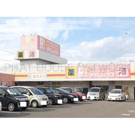 ダイレックス大塚中央店：750m