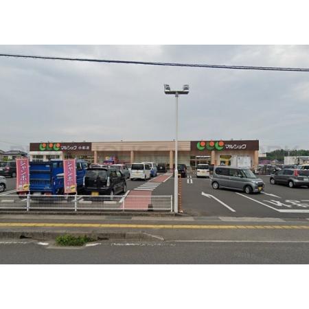 Growth T A棟（105） 周辺環境写真1 マルショク小松店：4530m