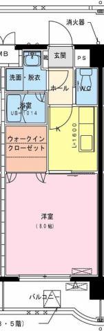 ユーミー大橋（203） 間取り図画像