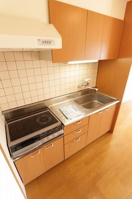 エンブレーマ西池（502） 部屋画像