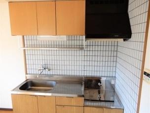 リージングマンションB棟（203号室） キッチン