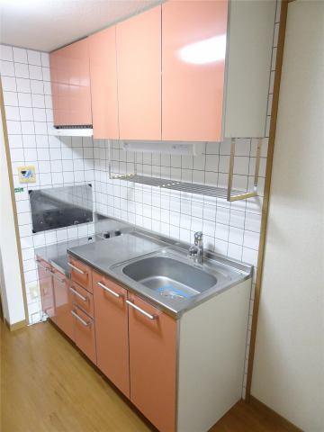サンリットコートS・T（205） 部屋画像