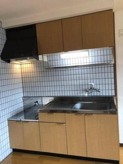 リージングマンションC棟（101） 部屋画像