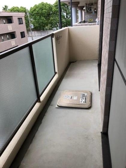 リージングマンションC棟（301） 部屋画像