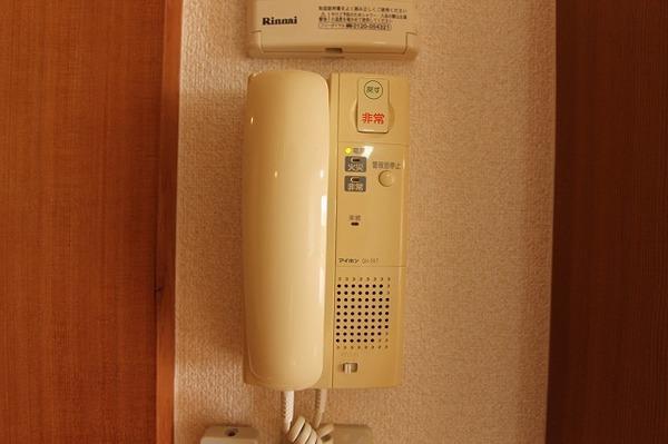 ナチュラルタウンⅡ（303） セキュリティ