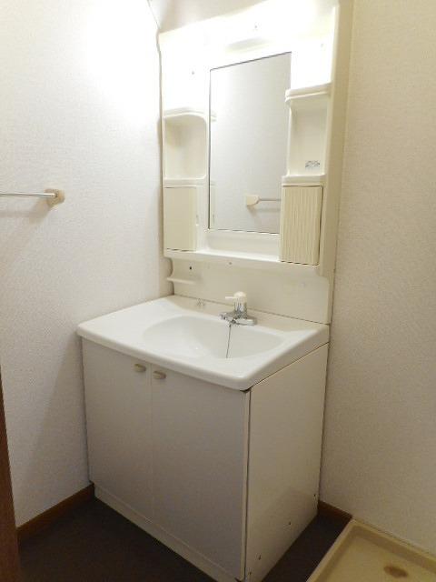 エレガントヴィラ１号館（102） 洗面