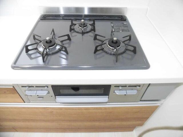 ガーデンリーフ平和台　B棟（201） 部屋画像