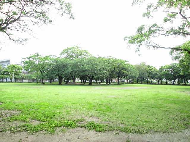 宮崎市中央公園：800m