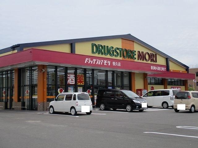 ドラッグストアモリ恒久店：700m