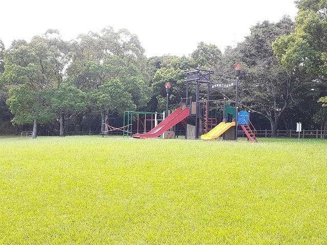 木花公園：2000m