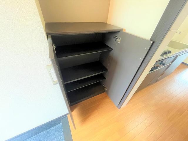 スイートアリッサム 収納