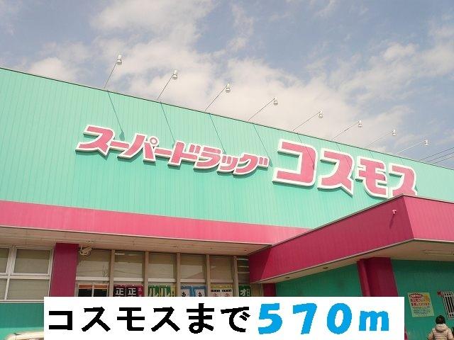コスモス：570m
