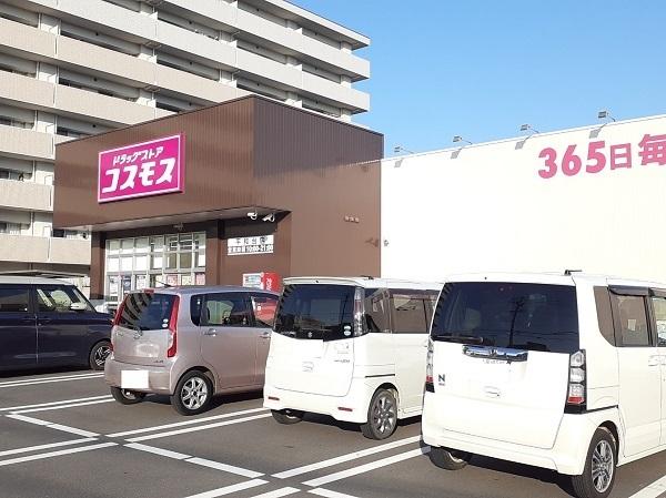 ドラッグストアコスモス平和台店：1000m