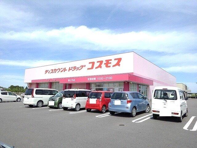 コスモスドラッグ島之内店：1100m