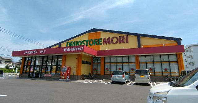 ドラッグストアモリ柳丸店：384m