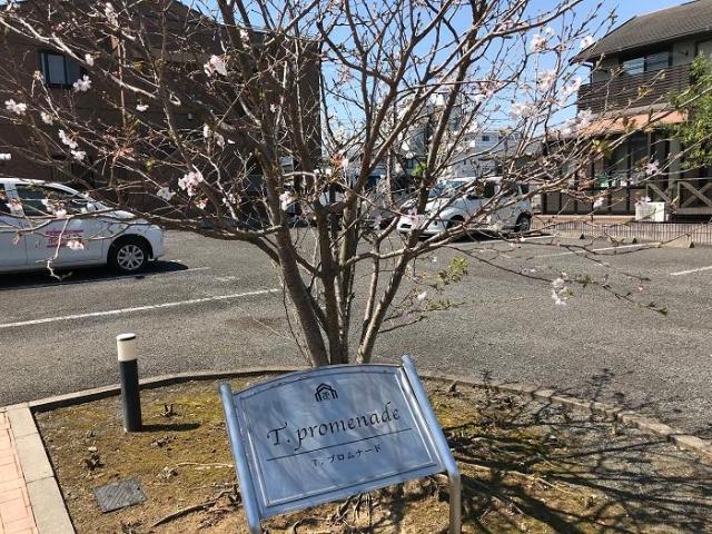 T.promenade 物件画像