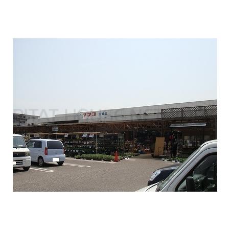 ナフコ大塚店：900m