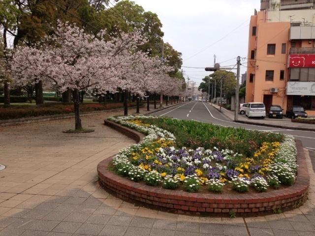 宮崎公立大学：2558m