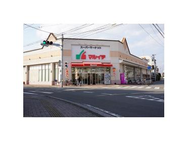 マルイチ丸山店