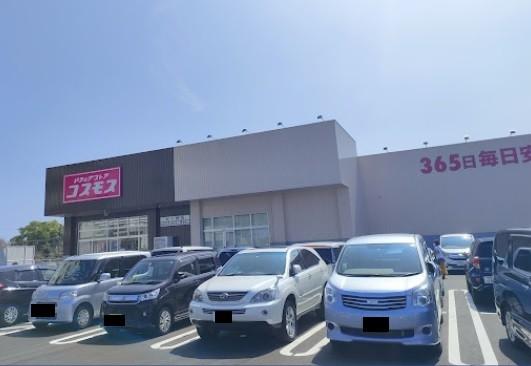 ディスカウントドラッグコスモス城ケ崎店