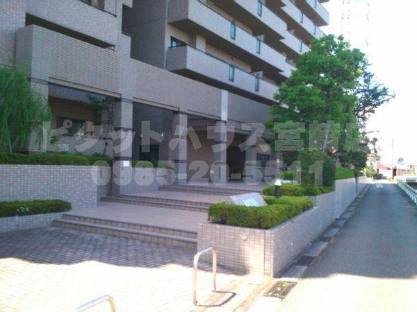 サーパス大橋 物件画像