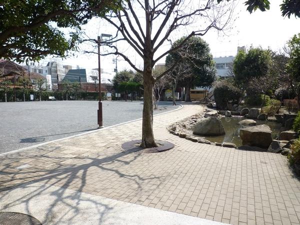 北沢公園