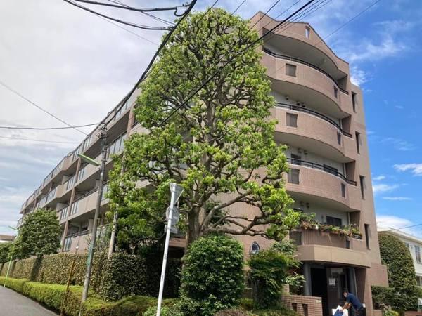 桜上水ハイム 外観