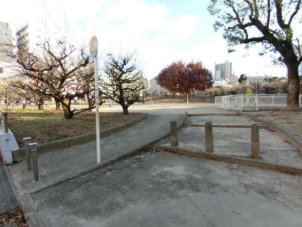 高津公園：572m