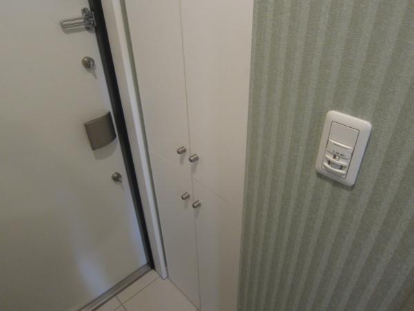 シュトラール高津（702） 玄関