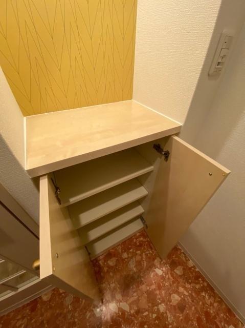 アクティコート堀江南（803） 玄関