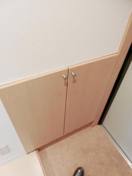 グランパシフィック難波南（601） 玄関