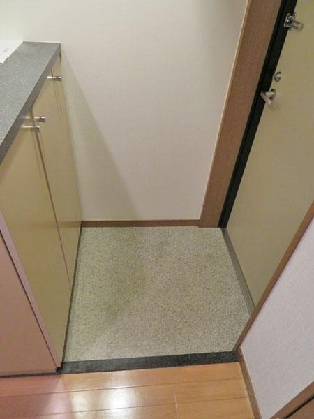 エイペックス松屋町ヴァンデュール（904） 玄関