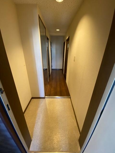 パレーシャル難波（805） 玄関