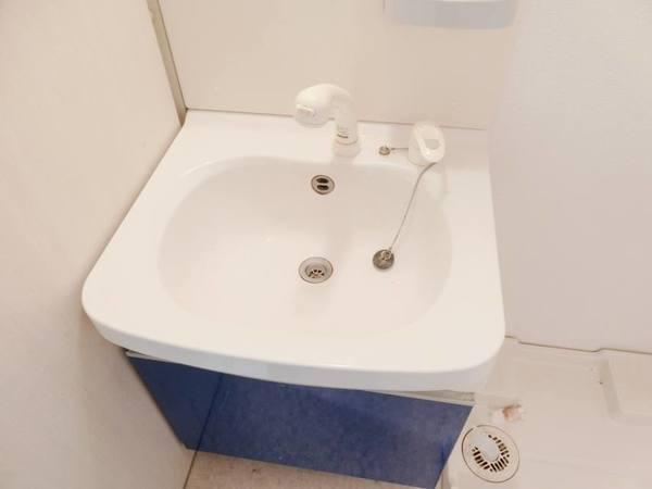 プレサンス難波南アーバニッシュ 洗面